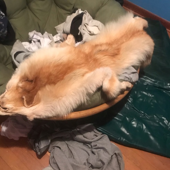 My loss is your gain everything must go - Picture 3 of 4